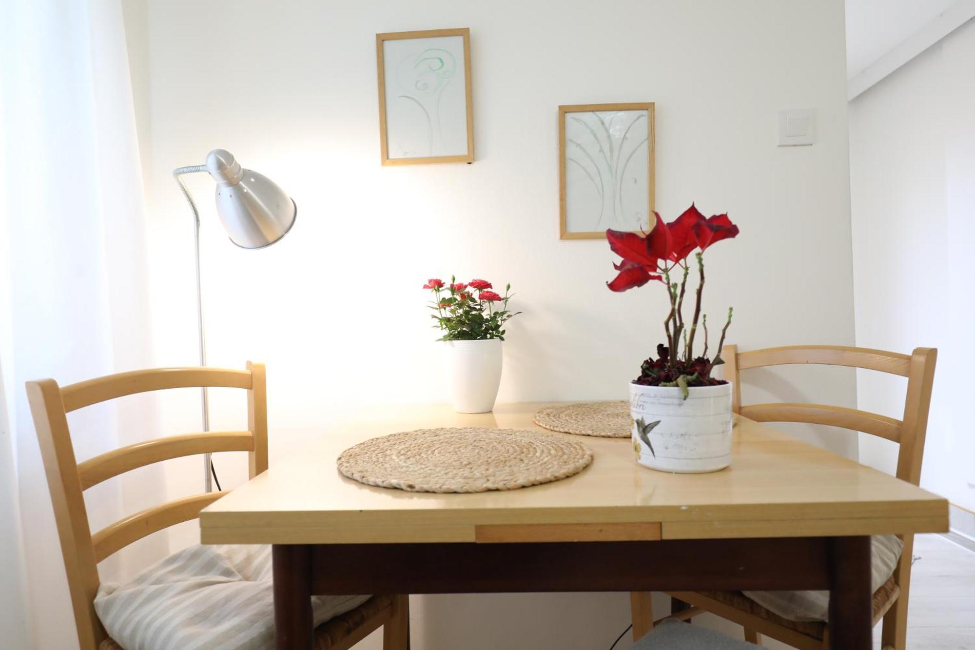 Apartment Mir Pula Buitenkant foto